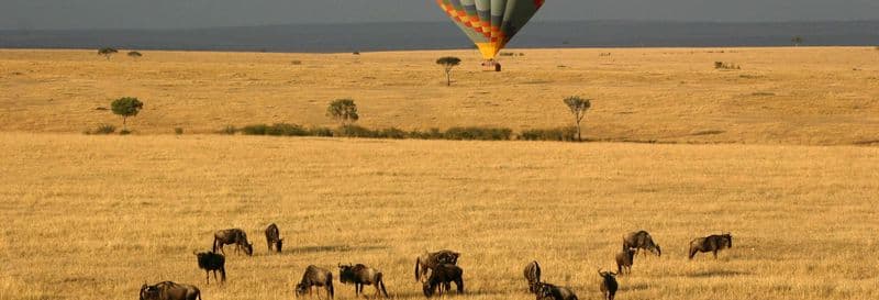 Billet Vol en montgolfière à Masai Mara