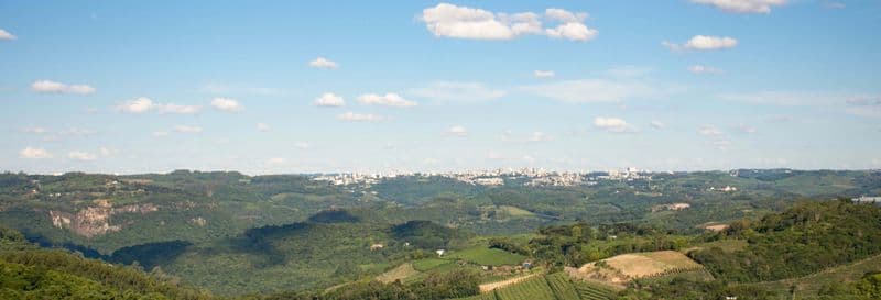 Visite des caves à vin de la Vale dos Vinhedos