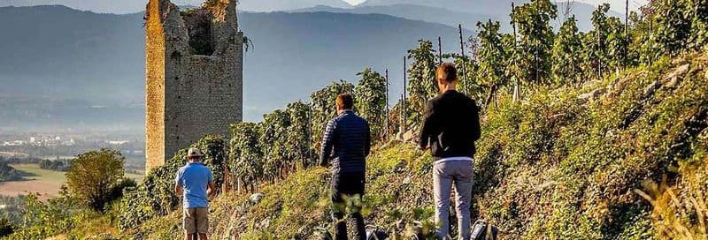 Balade en segway dans Chignin + dégustation de vins