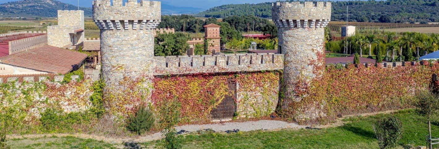 Billet Excursion à Gérone et à l'Alto Ampurdán + Dégustation de vins