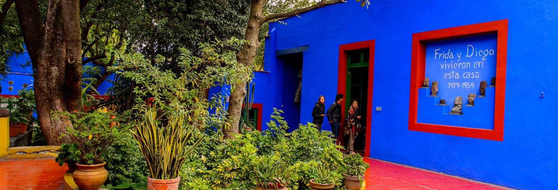 Free tour à la découverte de Frida Kahlo dans Coyoacán