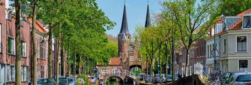 Billet Free tour dans Delft