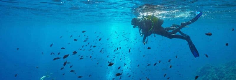 Baptême de plongée au parc naturel du Montgrí