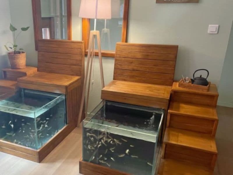 Billet Fish Spa à Sélestat (67)