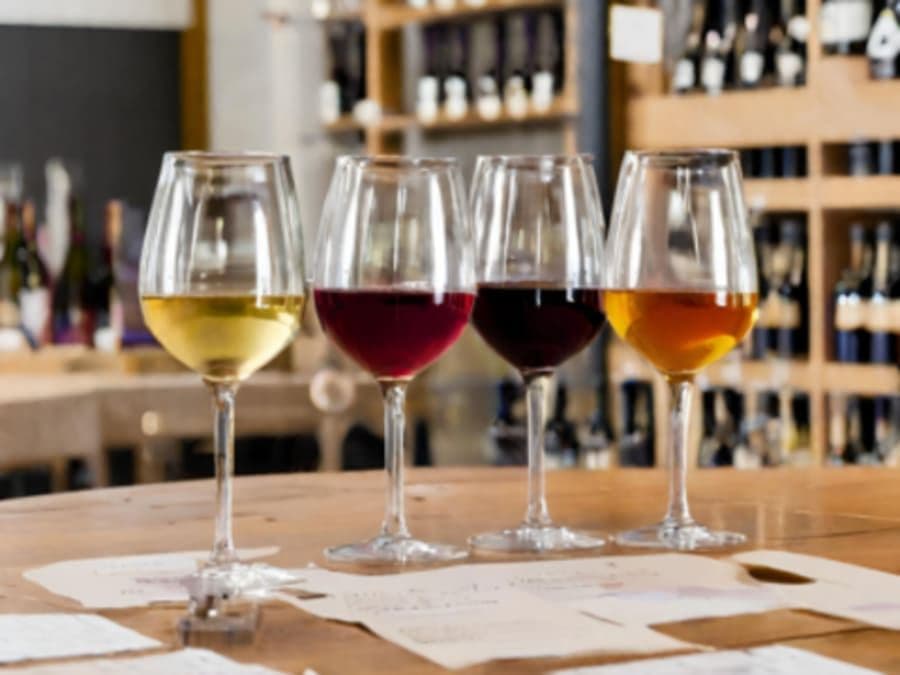 Cours d'œnologie "Cépages et terroirs" à Annecy (74)