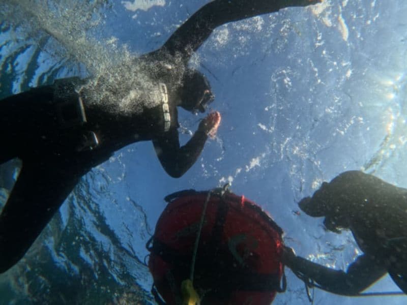 Accompagnement privé en apnée sous-marine à Groix (56)