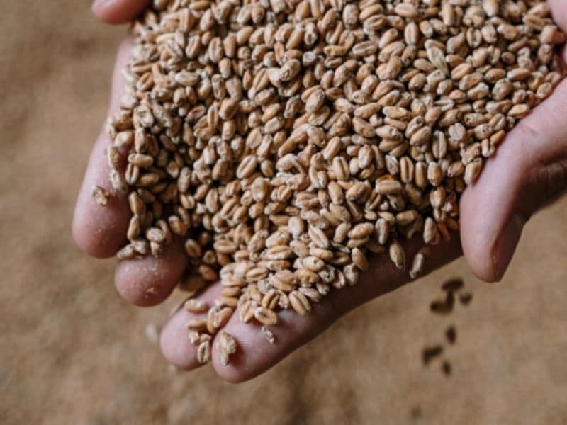 Billet Atelier brassage de bière à Aix-en-Provence (13)