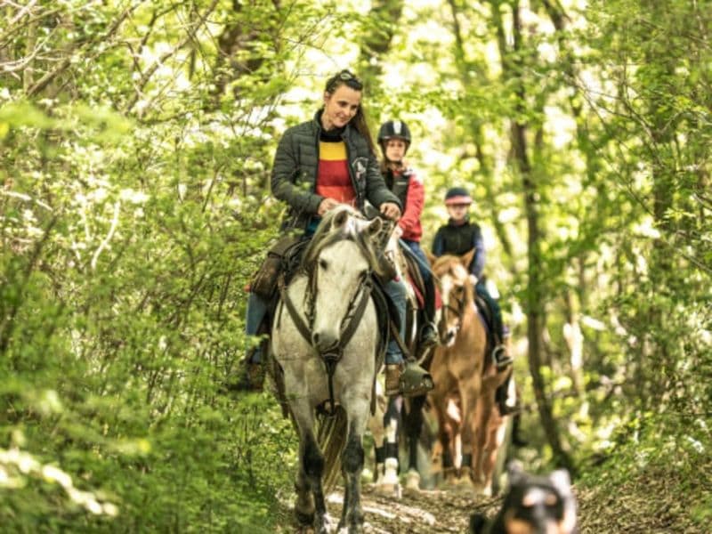 Balade à cheval à Labretonie (47)