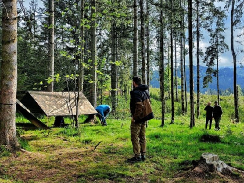 Billet Stage de survie "Découverte" dans les Vosges (88)