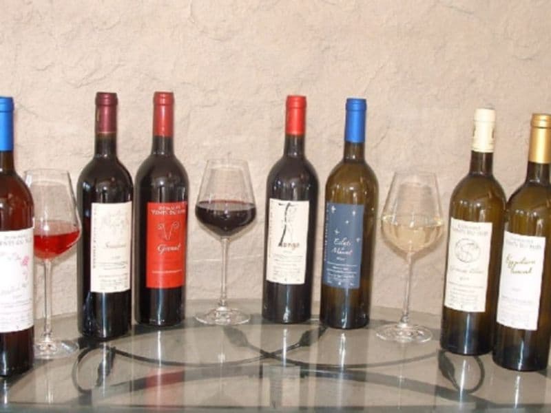 Dégustation de vins à proximité de Perpignan (66)