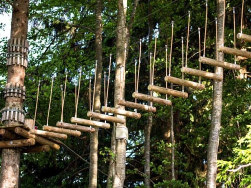 Billet Parcours Accrobranche à Échassières (03)