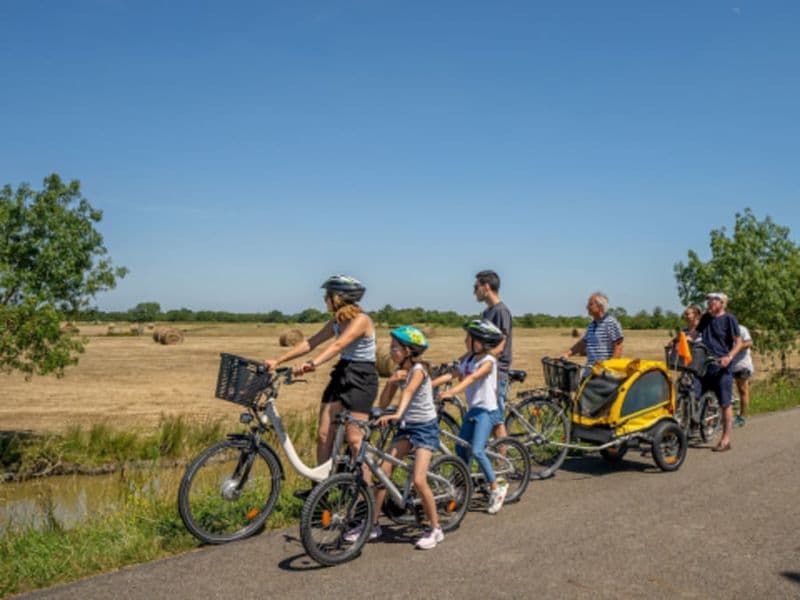 Balade en vélo à Sallertaine (85)