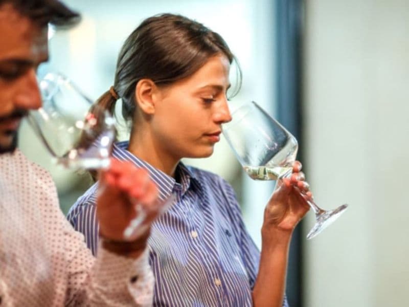 Journée œnologie, repas & dégustation au domaine Cazes (66)