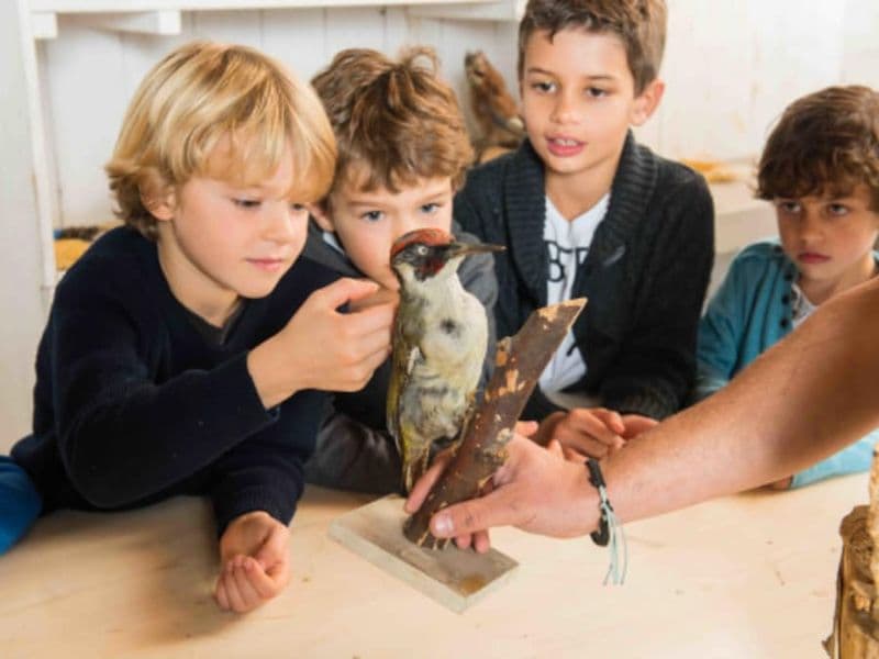 Atelier Oiseaux & Animaux à la Ferme de Gally de Sartrouville