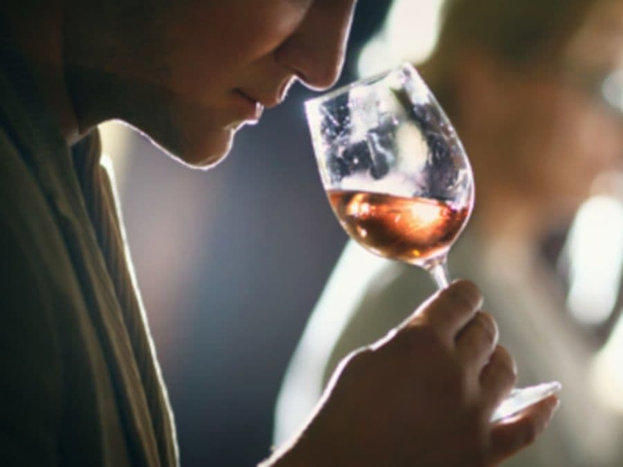 Cours d'œnologie "Les arômes du vin" à Orléans (45)