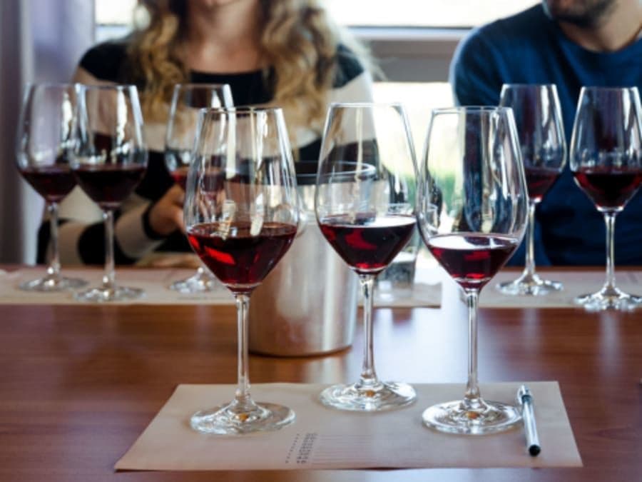 Cours d'œnologie "Initiation à la dégustation de vin" à Orléans