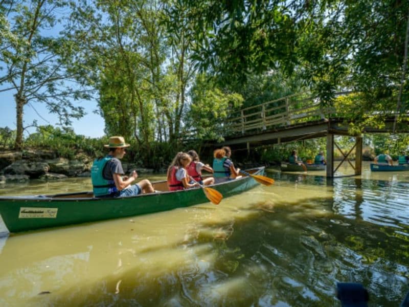 Billet Balade guidée en Canoë à Sallertaine (85)