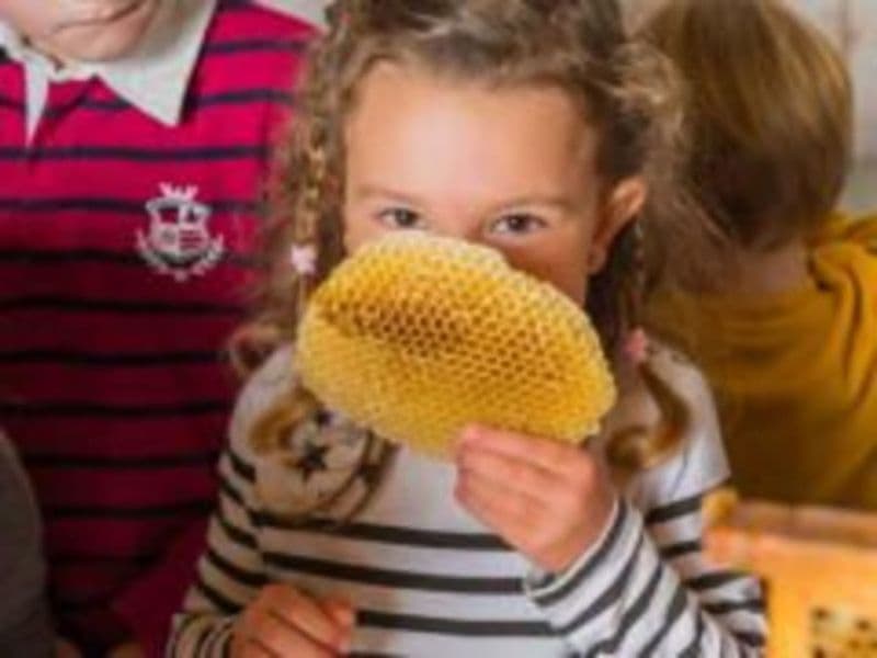 Fête du printemps à la Ferme Ouverte de Gally Sartrouville