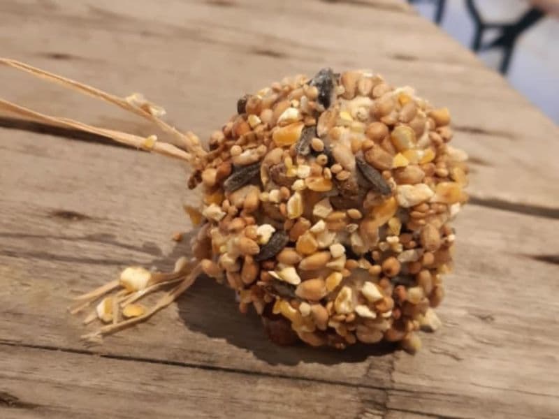 Billet Atelier nourrisseur à oiseaux & Visite de la Ferme de St Denis