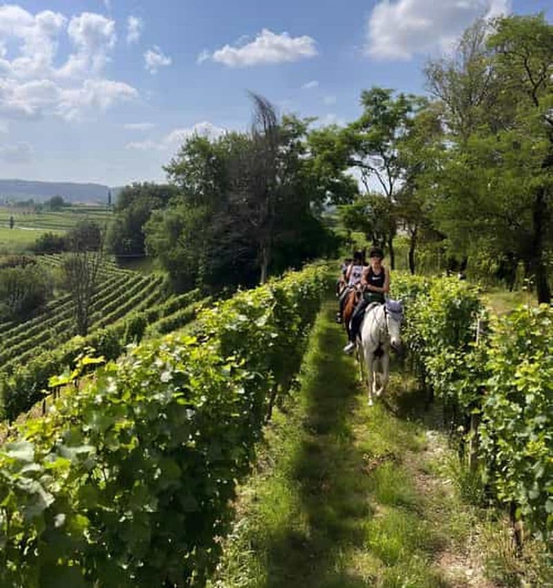 Franciacorta : balade à cheval à travers les vignobles et les villages