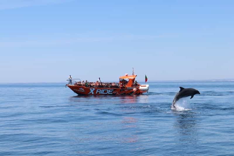 Albufeira : Observation des dauphins et grotte de Benagil