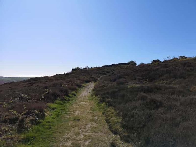 South Stack : visite à pied de la côte avec café et histoire
