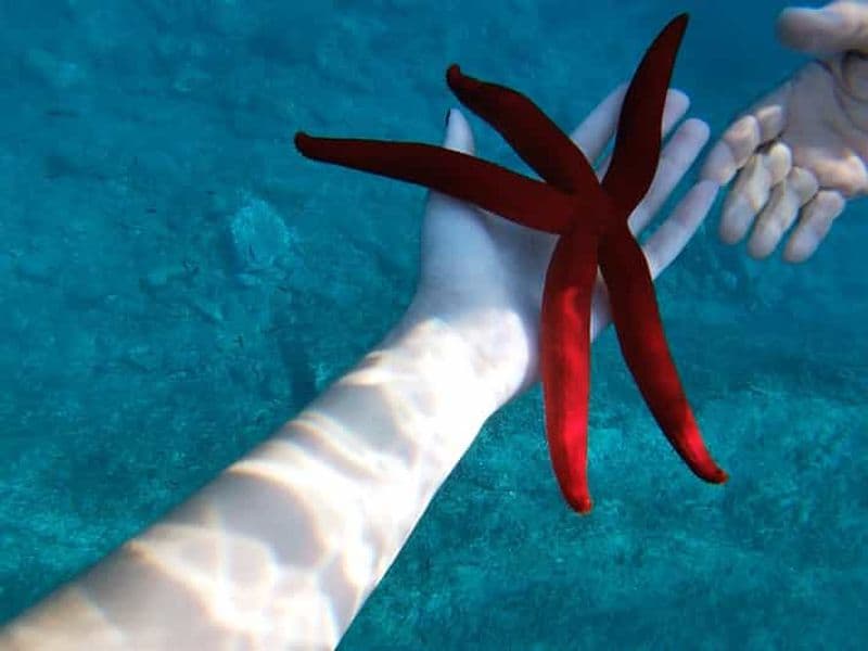 Billet Naxos : Excursion en bateau à Taormine avec plongée en apnée et Prosecco