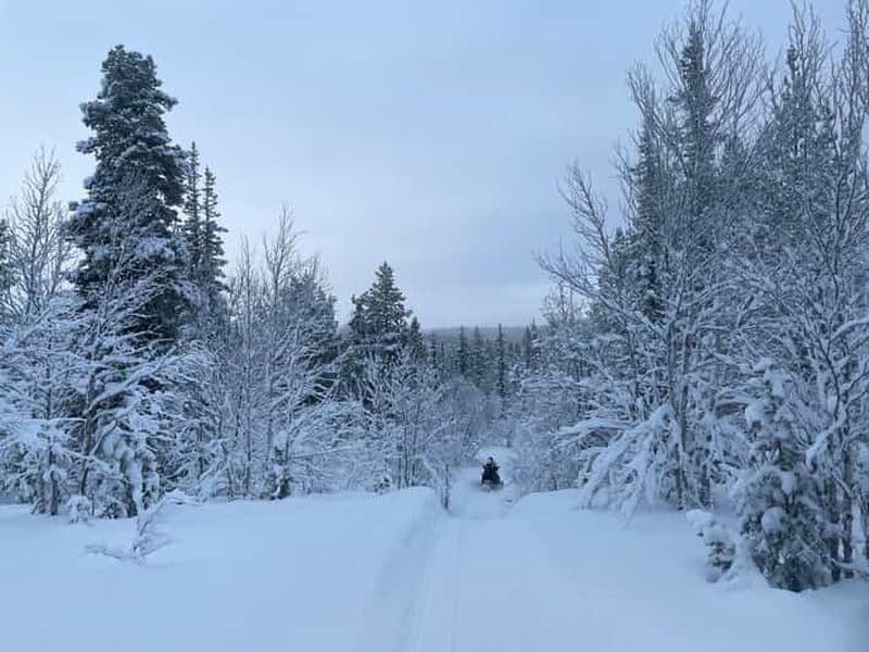 Billet Kiruna : Visite guidée en motoneige et fika suédoise