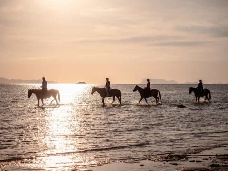 Billet Koh Samui : Randonnée à cheval sur la plage au coucher du soleil