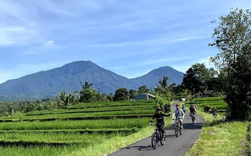 Bali : excursion à vélo, sources chaudes et village des oiseaux