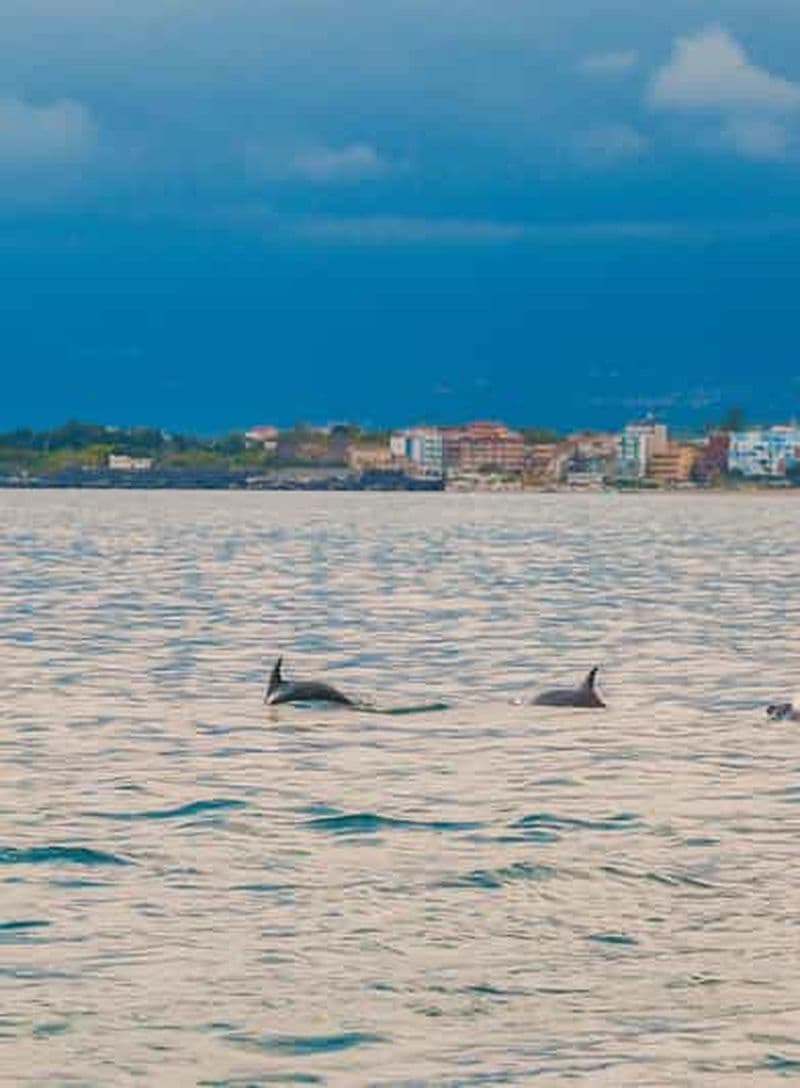 Giardini Naxos Taormina : Observation des dauphins au coucher du soleil