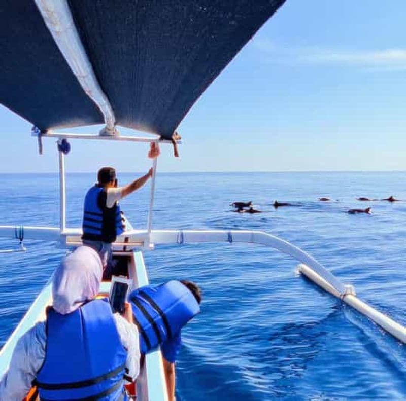 Observation des dauphins de Lovina + Nage avec les dauphins Visite privée