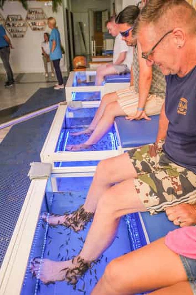 Expérience de soins des pieds et Fish Spa Playa Fañabé