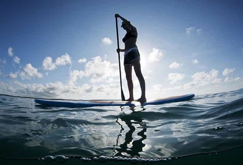 Jeffreys Bay : Stand Up Paddle Boarding