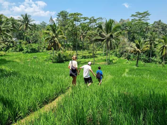 Billet Lombok : Visite à pied des rizières et chute d'eau de Benang Kelambu