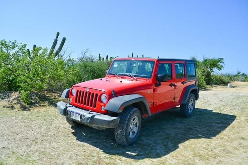 Cabo San Lucas : Visite privée en jeep à Todos Santos