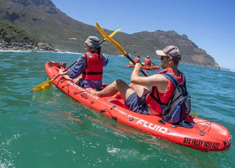 Le Cap : visite guidée en kayak