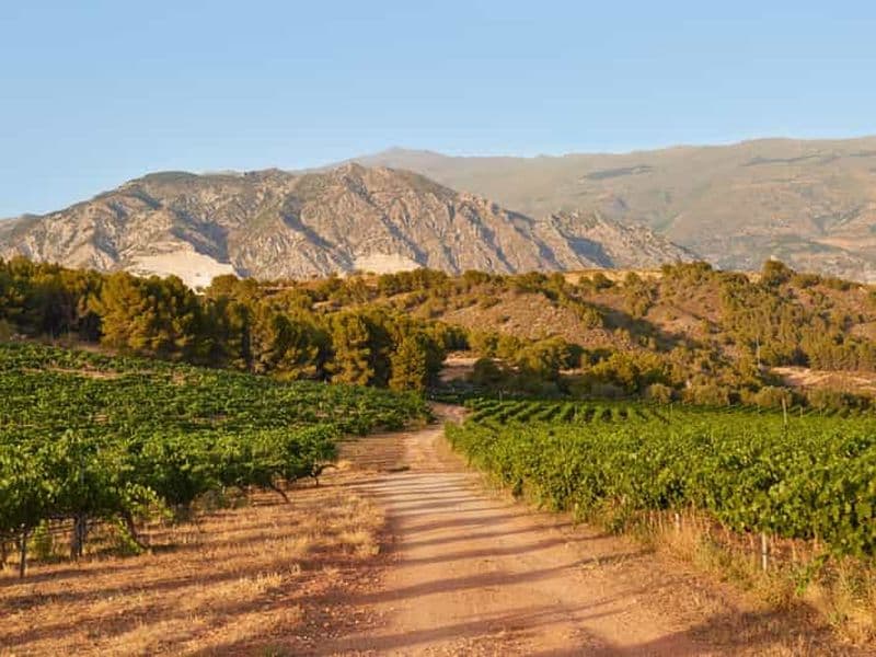 Salou : Visite du château de Siurana et du vignoble de Cornudella