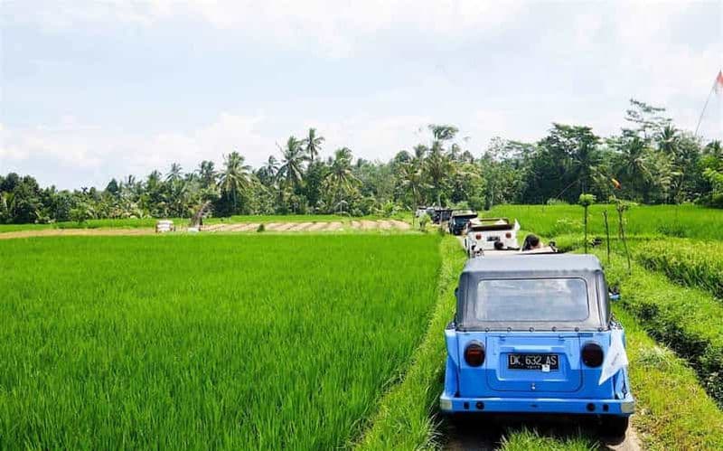 Bali : Safari à la campagne en Jeep VW d'époque