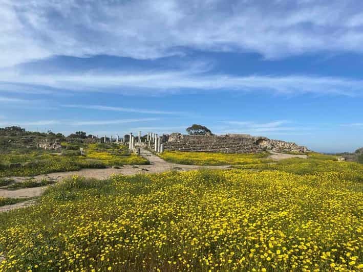 Billet Au départ de Paphos : visite à pied de Famagouste, Salamine et Varosha