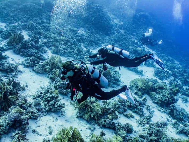 La Manga : baptême de plongée