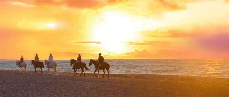 Billet Île de Rhodes : balade à cheval sur la plage au coucher du soleil