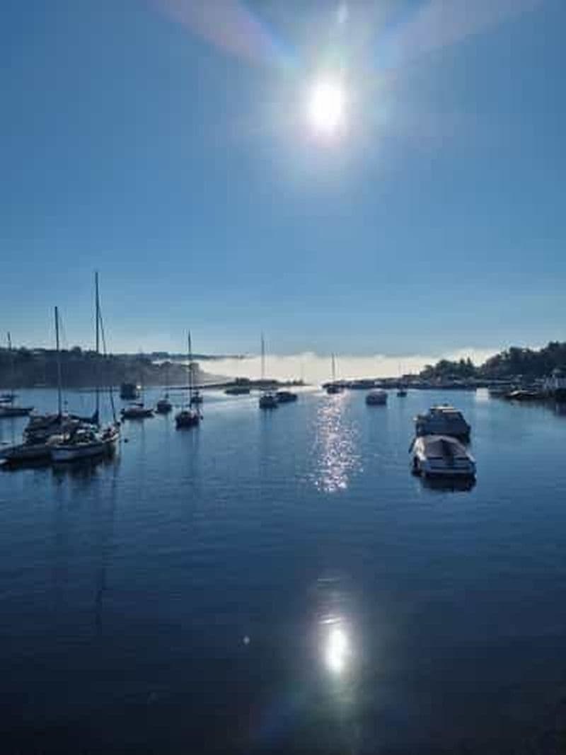 Oslo : Randonnée guidée sur l'île de Malmøya avec gaufre et boisson