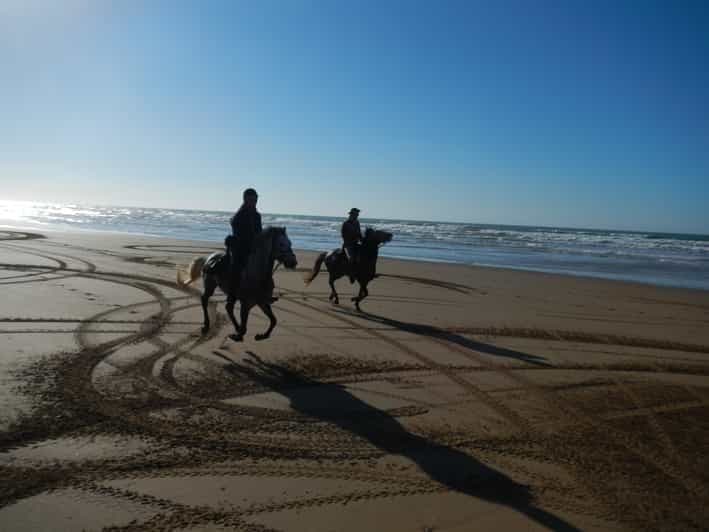 Billet D'Essaouira: balade à cheval panoramique sur Diabat avec transfert