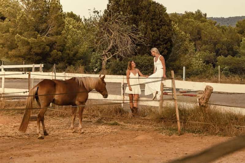 Sicile, Italie : Promenade à cheval paisible d'une heure pour débutants
