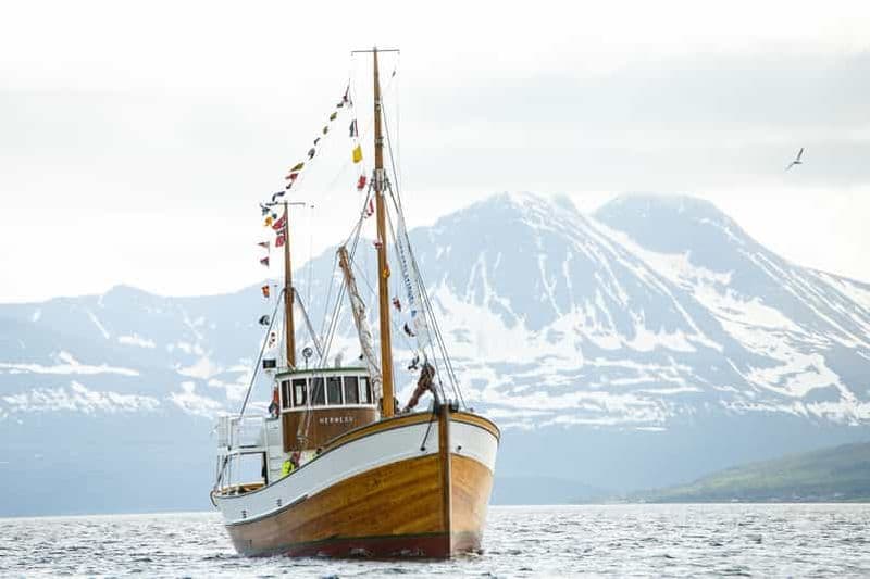 Tromsø : Croisière de pêche dans les fjords