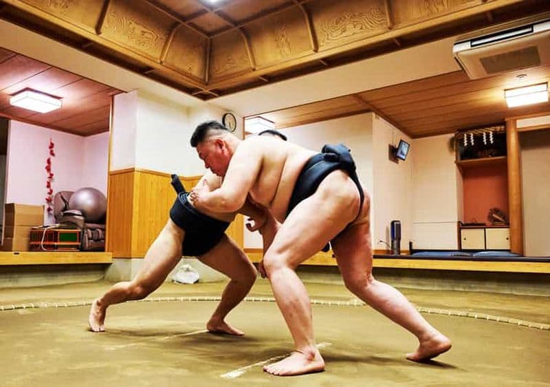 Tokyo : expérience sumo avec spectacle en direct et défi avec le public