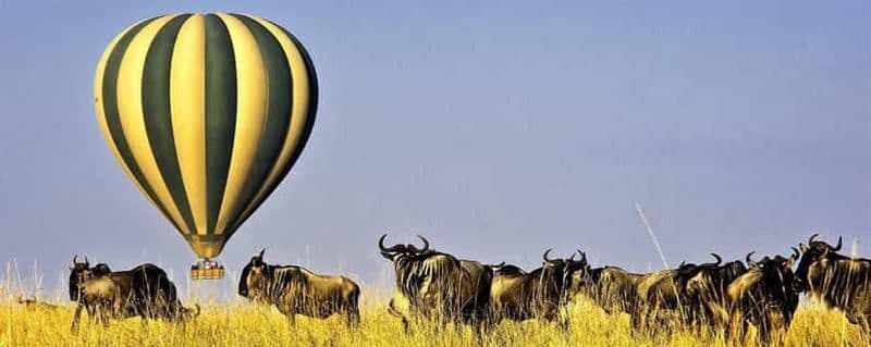 Billet Safari de 3 jours dans le Masai Mara avec vol en montgolfière