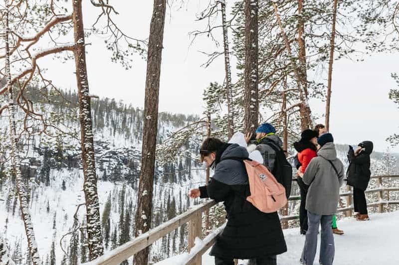 Billet Au départ de Rovaniemi : excursion au canyon de Korouoma et aux chutes d'eau gelées