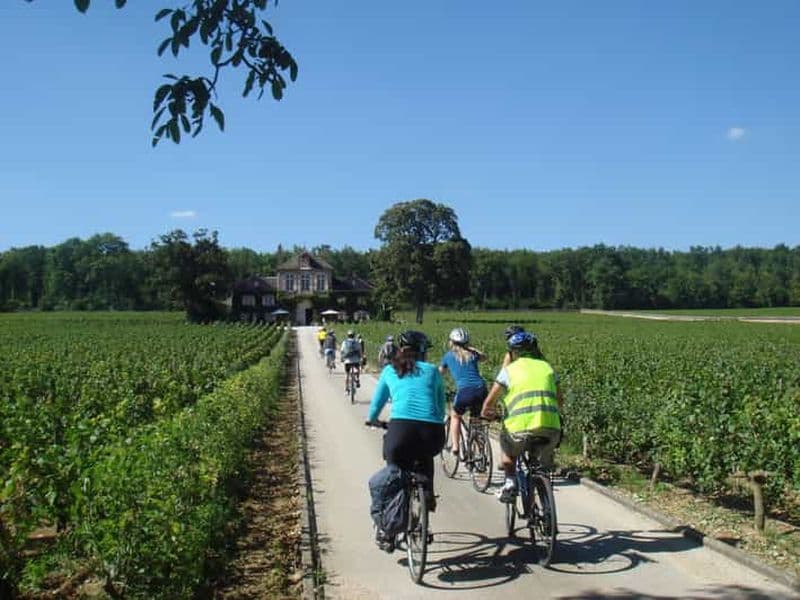 Au départ de Beaune : Visite d'une jounée en Bourgogne à vélo et autour du vin
